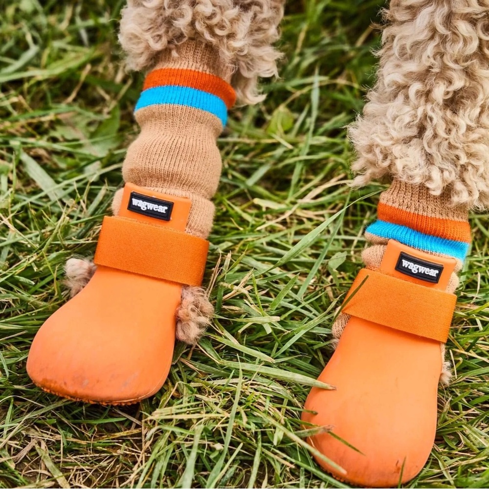 HOLD, do NOT BUY..
Wagwear Random Color Dog Boots